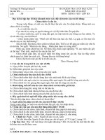 Bộ đề thi tiếng việt hết kỳ 2 dành cho học sinh lớp 4