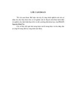 luận văn thạc sĩ kế toán Một số giải pháp hoàn thiện quy trình kiểm toán hoạt động cho vay tại ngân hàng TMCP Việt Nam Thịnh Vượng (VPBank)