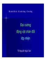 Bài giảng bộ môn sốt rét   kí sinh trùng và côn trùng  đại cương động vật chân đốt (lớp nhện)   TS  nguyễn ngọc san (học viện quân y)