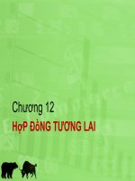 Bài giảng quản trị danh mục đầu tư   chương 12: hợp đồng tương lai