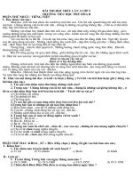 bài thi đọc hiểu lớp 5