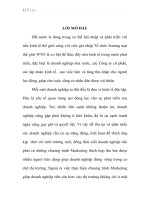 Phân tích thực trạng sản xuất kinh doanh và giải pháp marketing cho sản phẩm tại công ty cổ phần sữa vinamilk