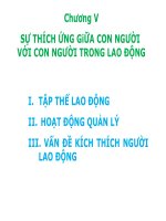 Chương 5  những sự thích ứng giữa con người với con người trong lao động