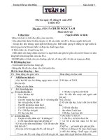Giáo án lớp 5 chuẩn KTKN  tuần 14