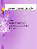 Bài giảng lý thuyết kiểm toán   chương 2:  các tổ chức và hoạt động của các tổ chức kiểm toán
