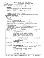 Giáo án Âm nhạc lớp 1, 2, 3, 4, 5 VNEN_Tuần 28