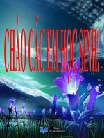 cong nghe vi nhan giong