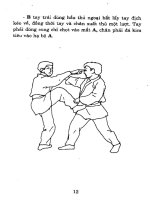 Hướng dẫn học võ Bình Định