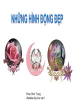 anh dong lam giao an