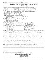 Đề ôn tập cuối năm lơp 5 ( TV)