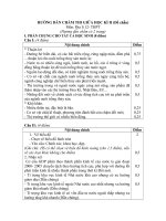 Đáp án địa lý thi giữa kỳ 12 (Đề chẵn)