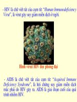 Bài 18 Phòng lây nhiễm HIV/AIDS