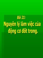 Bai 21- Nguyen li lam viec cua dong co dot trong