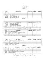 Giáo án các môn lớp 4 tuần 31