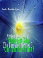 Hạt giống tâm hồn _3