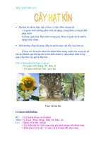 hình ảnh sinh học 6