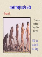 Tiet 10 Năng động và sáng tạo