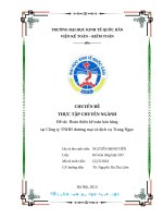 luận văn kế toán  Hoàn thiện kế toán bán hàng tại Công ty TNHH thương mại và dịch vụ Trung Ngọc