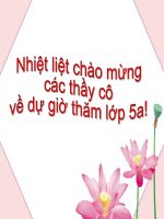 ltvc lop 5