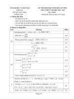 HDC đề HSG cấp tỉnh môn Toan 12 năm học 2010 - 2011