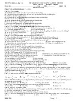 ĐỀ Khảo sát  Vật lý 10 -150 phút