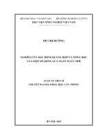 Nghiên cứu đặc điểm quang hợp và nông học củamột số dòng lúa ngắn ngày mới