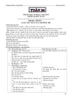 Giáo án lớp 5 chuẩn KTKN  tuần 24