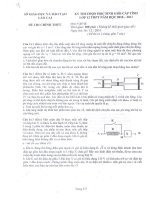 Đề HSG cấp tỉnh môn Vật lí năm học 2010 - 2011