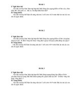 Câu hỏi cuộc thi nghi thức đội 26-3