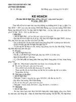 KH Tổ chức hội thi Nghi thức Đội