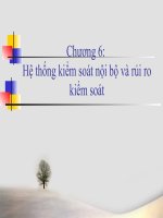 Bài giảng lý thuyết kiểm toán   chương 6:  hệ thống kiểm soát nội bộ và rủi ro kiểm soát