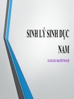 Bài giảng sinh lý sinh dục nam   GV BS CKII nguyễn thị huệ