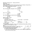De thi giua ky II nam 2010-2011