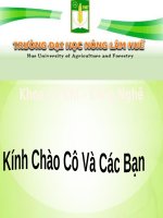 ứng dụng của hóa keo trong công nghệ thực phẩm