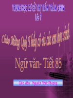 Sự giàu đẹp của tiếng Việt