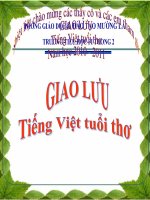 GIAO LƯU TIẾNG VIỆT - ATGT