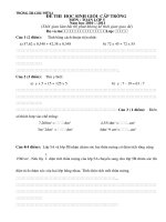 Đề thi HSG cấp trường Toán 5