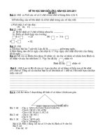 DE THI HOC SINH GIOI TOAN LOP 2- NH 2010-2011