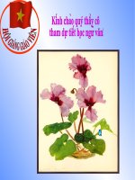 Bài 22. Tiết 90. Chiếu dời đô