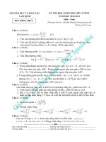 De thi HSG Nam Dinh 2010_2011