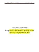 báo cáo thực tập tốt nghiệp công ty cổ phần sản xuất thương mại và dịch vụ tổng hợp thành phát