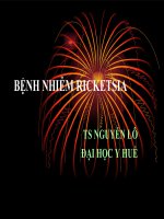 Bài giảng bệnh nhiễm ricketsia   TS  nguyễn lô