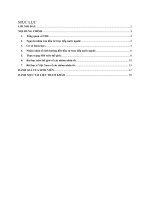 FDI và sự mở rộng thị trường địa lý của các công ty đa quốc gia