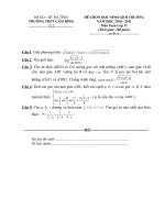 Đề và đáp án thi HSG trường môn Toán 11