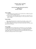 Đề và đáp án thi HSG trường môn Địa 11