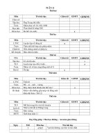 Giáo án các môn lớp 4 tuần 11