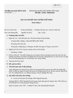 Báo cáo tìm hiểu thục tế giáo dục