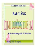Bài giảng Dinh dưỡng trẻ em Chương IIII (P3) - GV. Thân Thị Diệp Nga