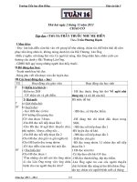 Giáo án lớp 5 chuẩn KTKN  tuần 16