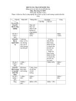 kiem tra lop 10 co ma trận